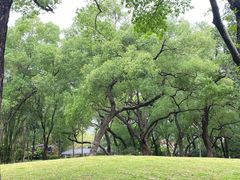 -晓港公园