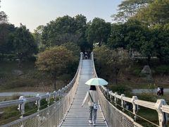 -东莞植物园