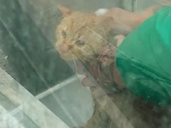 -宠物梦想家(日月豪庭店)