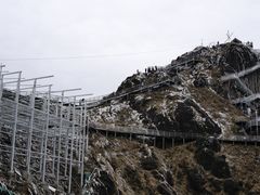 -金子山原生态旅游风景区