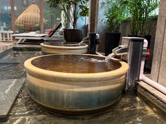 -弘安丽水温泉酒店