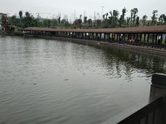 -枫香湖儿童公园