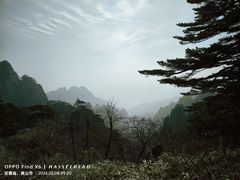 -黄山风景区
