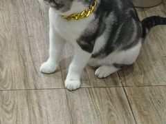 -百金通黄金回收首饰定制维修(珠江路总部)