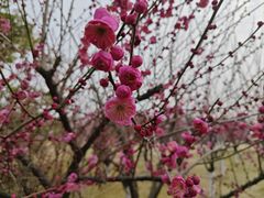 -长广溪湿地公园