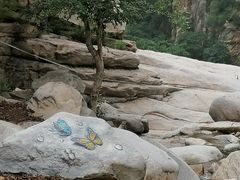 -黑龙潭风景区
