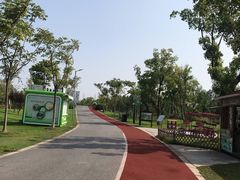 -上海长兴岛郊野公园