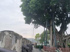 -大炮台