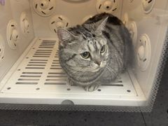 -FAELING PETS美天灵宠物(富力广场店)