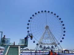 -秦皇岛乐岛海洋王国