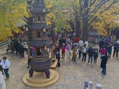 -镇南锅盖面馆(解放路店)