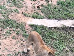 -石家庄市动物园