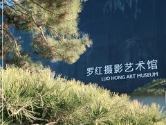 -罗红摄影艺术馆