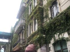 -美的鹭湖森林度假区