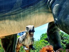 -陕西自然博物馆