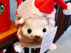 -星巴克臻选(苏州汇豪店)