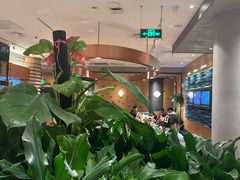 -云海肴·汽锅鸡·云南菜(领展购物广场·中关村店)