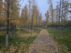 -汉长安城未央宫国家考古遗址公园