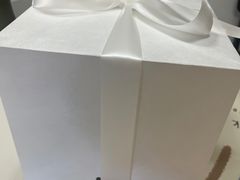 -BLACKSWAN黑天鹅(环球店)