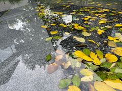 -木守西溪溪隐餐厅