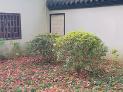 -郑和公园