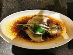 -梅花香里大酒店(郁金香路店)