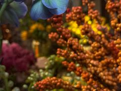 -徐家汇源景区-衡山公园