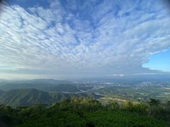 -黄埔油麻山森林公园