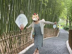 -陈家山荷花公园
