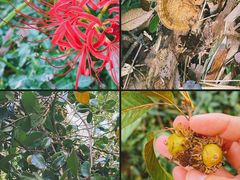 -上海佘山国家森林公园天马山园