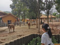 -石家庄市动物园