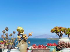 -野菌皇海景野生菌火锅(滨海大道店)