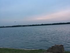 -丁香湖公园