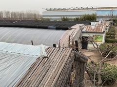-呀路古热带植物园