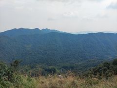 -午潮山国家森林公园