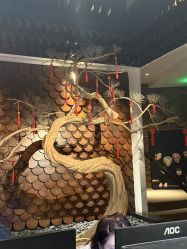 -鼎极摄影(双井店)