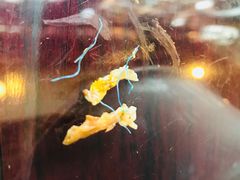 -萧记三鲜烩面(瑞达路店)