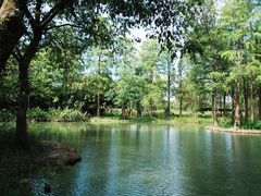 -西溪国家湿地公园