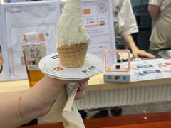 -野人先生现做冰淇淋(西安赛格店)