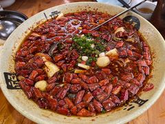 -青城甲(青城山店)