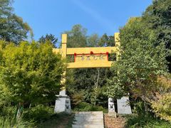 -南京老山国家森林公园