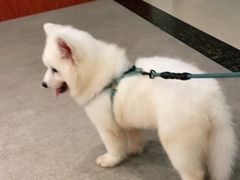 -宠颐生汉谟拉比宠物医院