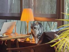 -咖法森林·咖啡  酒吧(天河店)