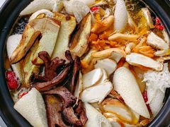 -蘑统田下·野生菌火锅