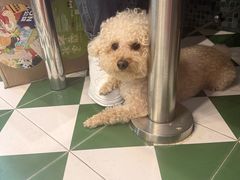 -華歡冰室-WahFoon(吉大店)