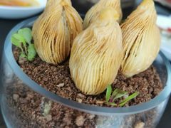 -广州柏悦酒店·悦景轩·粤菜餐厅