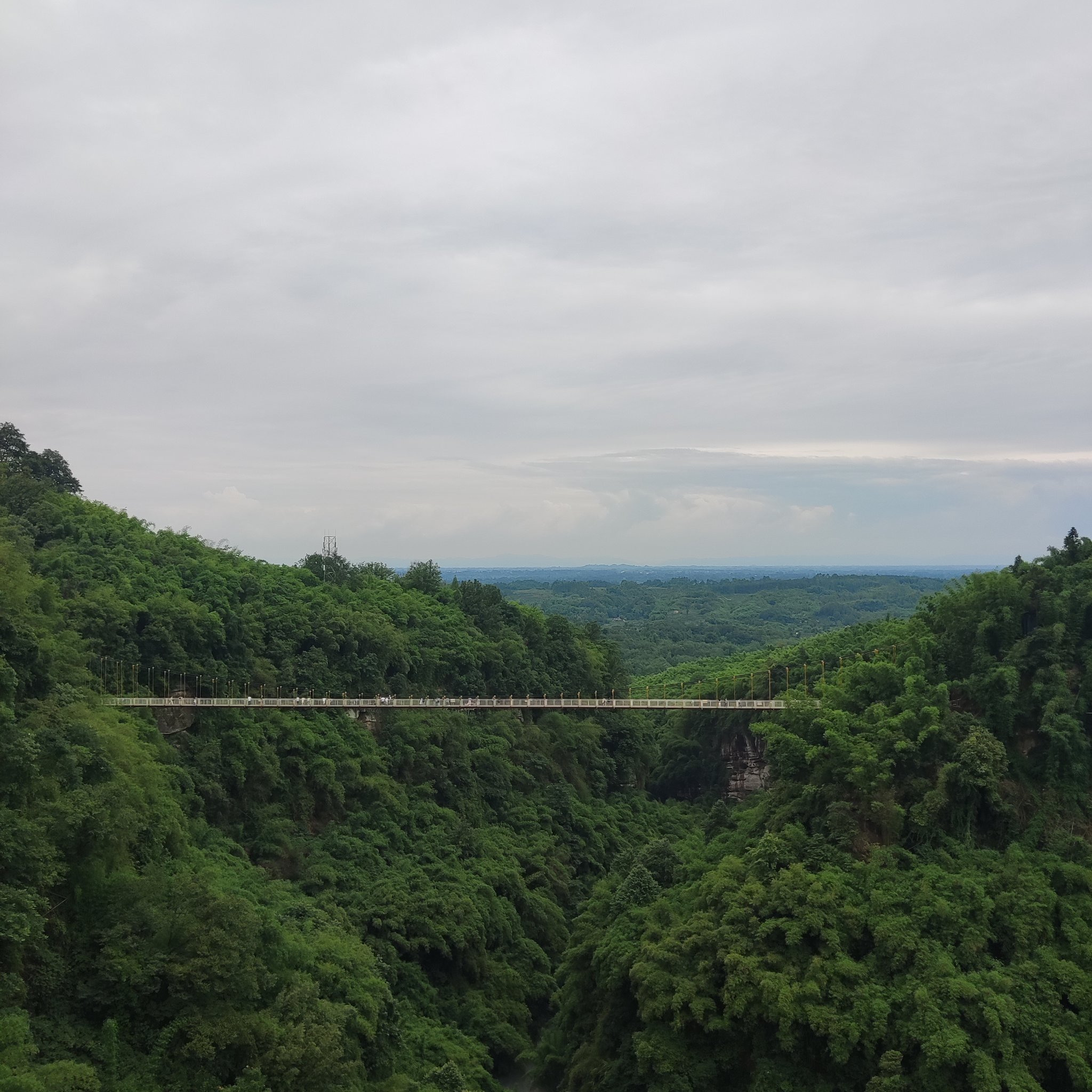 成都川西竹海景区图片