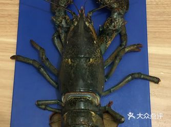 对不起龙虾，是宅逼我动手的