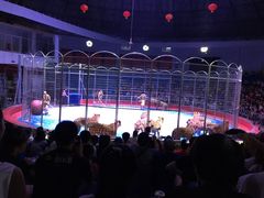 -西安秦岭野生动物园