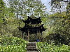 -青城山